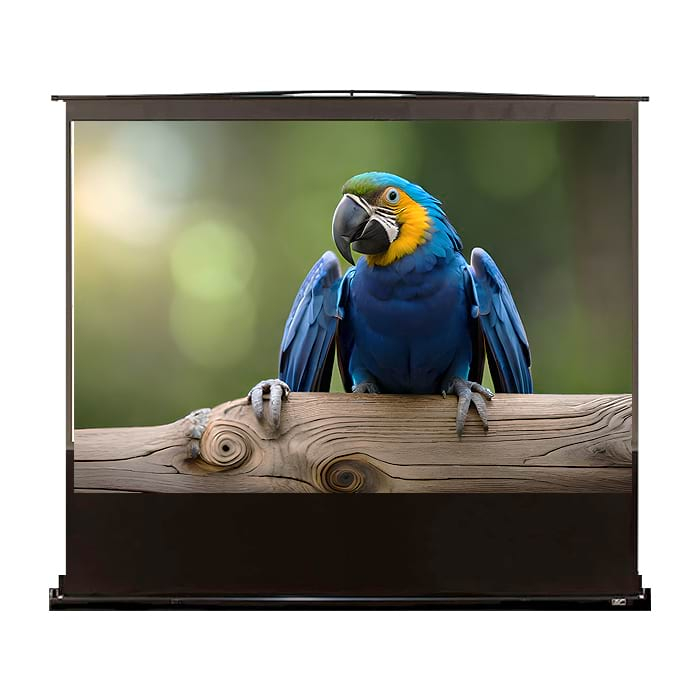 Elite Screen F100NWH, 100" (16:9), 221.5 x 124.5 cm, Black на супер цена