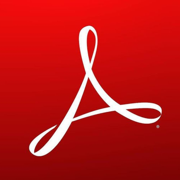 Acrobat Standard DC for teams 1 user 1 year