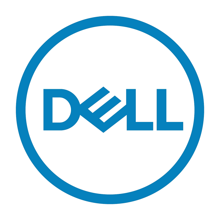 Dell 2.4TB Hard Drive SAS ISE 12Gbps 10K 512e 2.5in Hot-Plug Customer Kit, Compatible with T440, T640, ME5024 and others