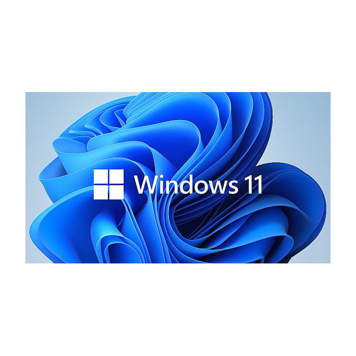 Microsoft Windows 11 Pro 64Bit English 1pk DSP OEI DVD ID 74857 на супер цена