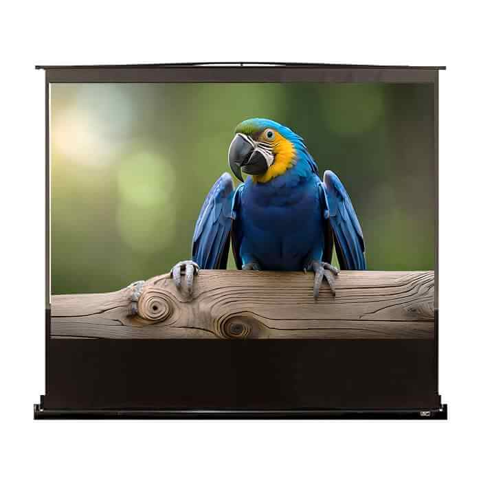Elite Screen F84NWH, 84" (16:9), 185.9 x 104.6 cm, Black ID 66293 на супер цена